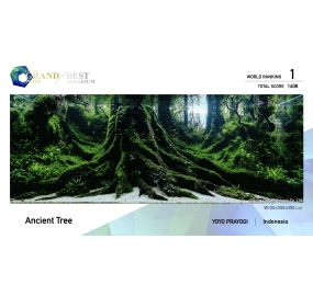 21-WR001
