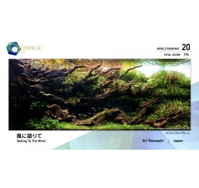 21-WR020