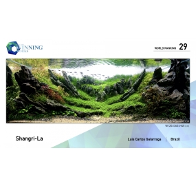 21-WR029