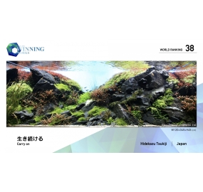 21-WR038