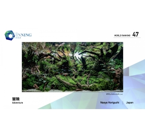 21-WR047