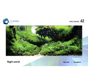 21-WR062