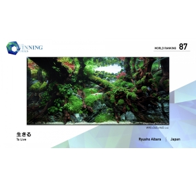 21-WR087