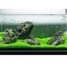 HỒ THUỶ SINH 90 x 45 x 45