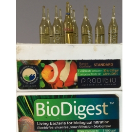 Vi sinh_BioDigest