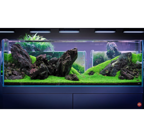GA-TS02_Sưu tập_Những mẫu hồ đẹp