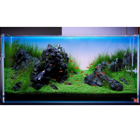 GA-TS07_Sưu tập_Những mẫu hồ đẹp