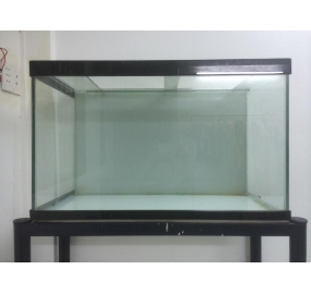 Hồ cá có kiềng: 100 x 40 x 40 Cm