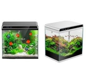 Hồ cá để bàn_Bộ 01