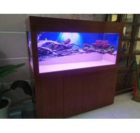 Hồ cá KOI công nghệ cao