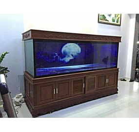 Hồ cá KOI công nghệ cao (3)