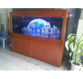 Hồ cá Rồng công nghệ cao (6)