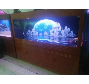 Hồ cá KOI công nghệ cao (10)