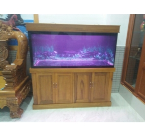 Hồ cá Rồng công nghệ cao (7)