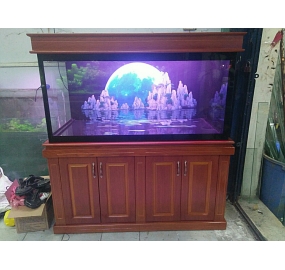 Hồ cá KOI công nghệ cao (12)