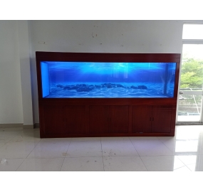 Hồ cá KOI công nghệ cao (17)