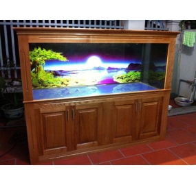 Hồ cá Rồng công nghệ cao (8)