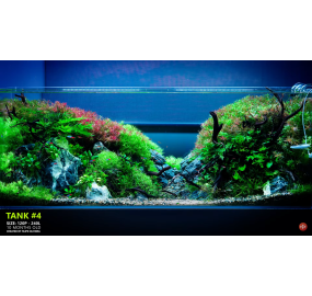 Sưu tập_Những mẫu hồ đẹp_Tank 04