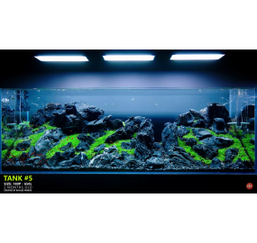 TS-001_Hồ thủy sinh_Tank 05