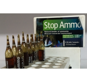 Vi sinh_Stop Ammo 1
