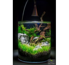 Sưu tập_Những mẫu hồ đẹp (27)