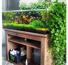 Sưu tập_Những mẫu hồ đẹp (28)